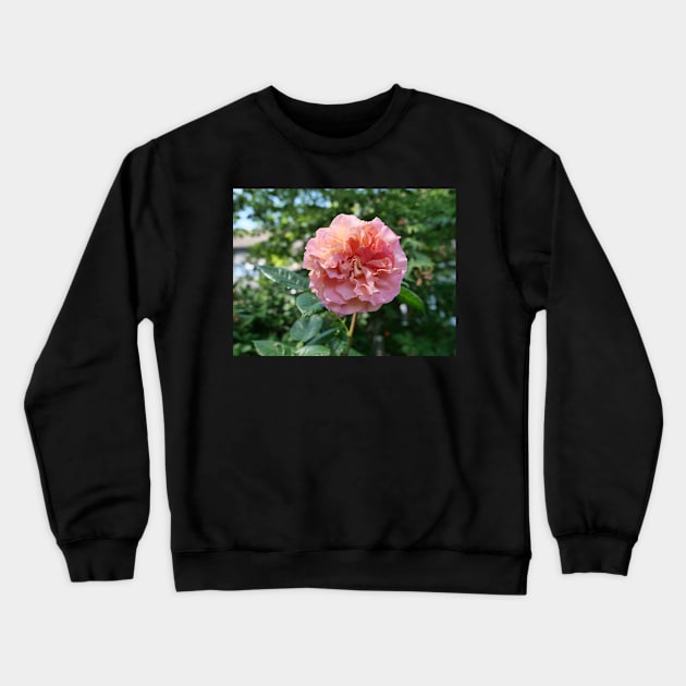 Fragrant Rachel Hybrid Tea Rose Crewneck Sweatshirt by fantastic-designs